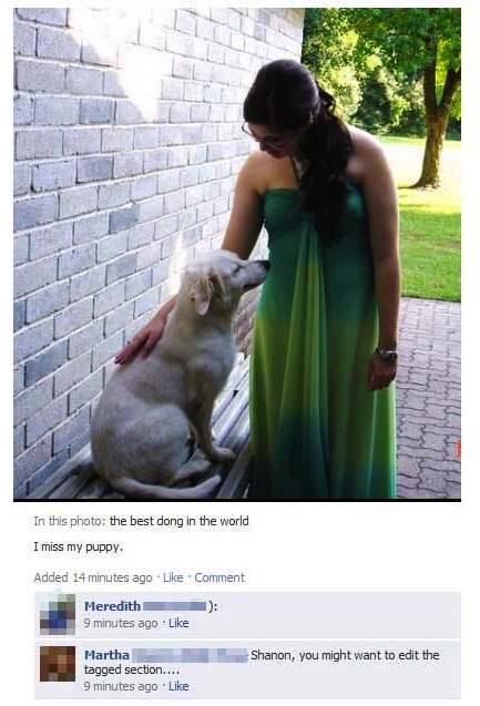 So  Good: Obnoxious Responses to Misspelled Facebook Posts
