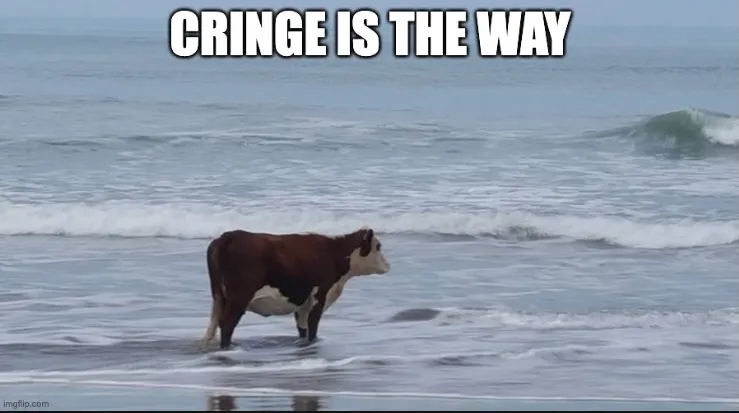 Cringe Is the Way
